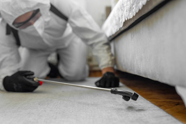 Professional Bed Bug Control technician working in Rockville, CT