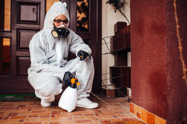 Reliable Bed Bug Control contractor in Rockville, CT by Nex Pest Control