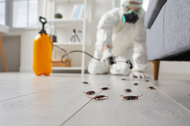 Trusted Fumigation Services service in Rockville, CT - Nex Pest Control