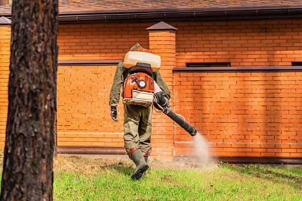 Trusted Cockroach Control service in Rockville, CT - Nex Pest Control